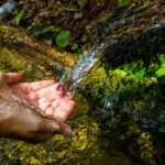 Washing Hands And Drink From A Spring With Clear And Cold Mountain Water